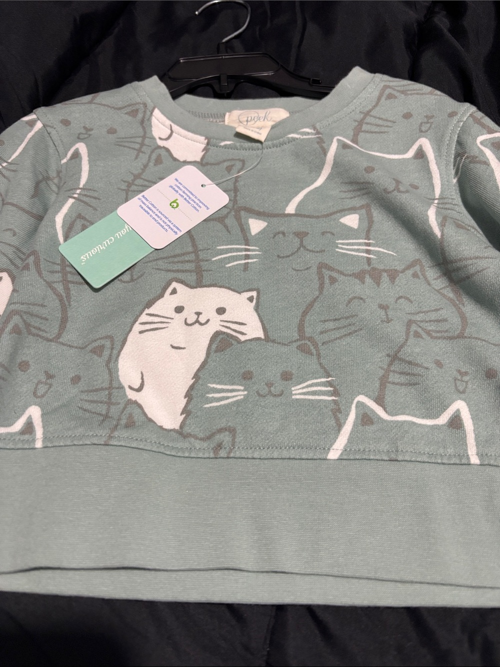 Peek Mint Cat Faces Pullover Sweatshirt - Picture 2 of 3
